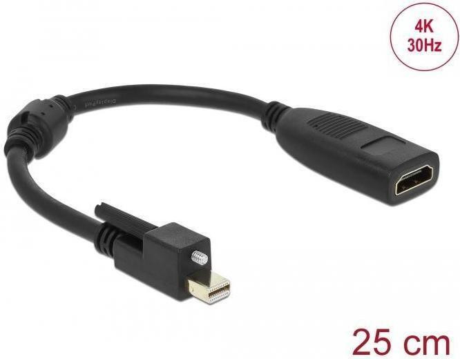 Delock 62640 DisplayPort naar HDMI Adapter met schroefverbinding, 4K ondersteuning