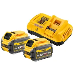DeWalt Flexvolt Starter-Set 2xAkku 54V /162 Wh