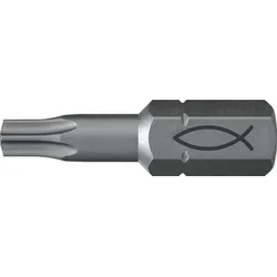 Profi Bit FPB T 20 Inhalt: 10 Bits