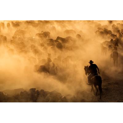 Fototapete PAPERMOON "Photo-Art DAN MIRICA, CAPPADOCIA WILDE PFERDE", bunt, B:4m L:2,6m, Vlies, Tapeten