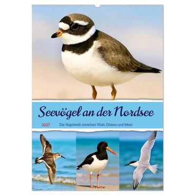 Seevögel an der Nordsee (Wandkalender 2027 DIN A2 hoch), CALVENDO Monatskalender