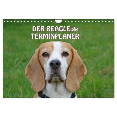 DER BEAGLEige TERMINPLANER (Wandkalender 2027 DIN A4 quer), CALVENDO Monatskalender