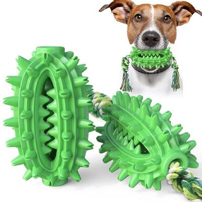 Everyday Crate Prickly Pear Dog Toothbrush Toy With Rope & Treat Dispensing Chew Design green