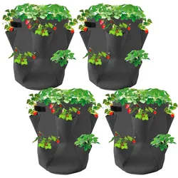 Grüner Jan, Blumentopf, Erdbeer-Pflanzsack, 4er-Set (35 x 45 cm)