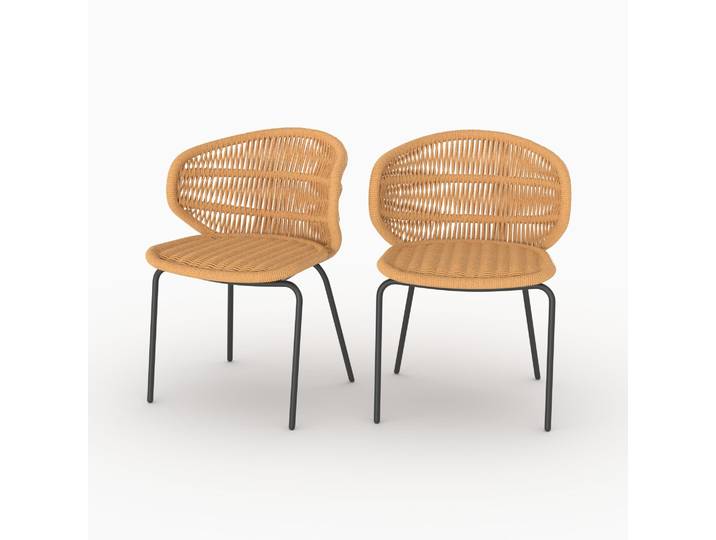Lot De 2 Chaises De Jardin En Rotin Synthétique - Lara