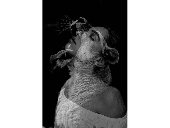 Wandkraft Aluminiumbild, Schwarz, Metall, rechteckig, 98x148 cm, Fotografie, einfache und schnelle Anbringung, matt, Bilder & Rahmen, Bilder, Wandbilder