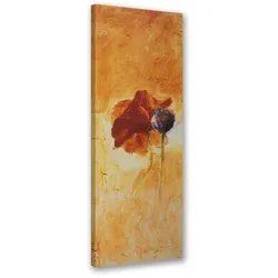 WANDBILD gemalte mohnblume