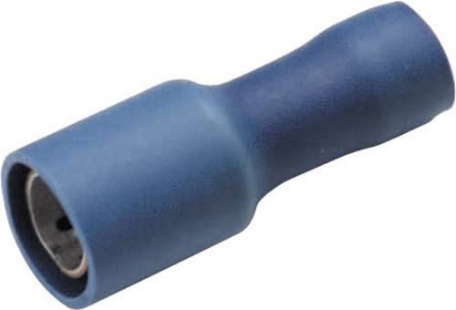 Cimco 180314 Rundsteckhülse 4mm² 6mm² Stift-Ø: 5mm Vollisoliert Gelb