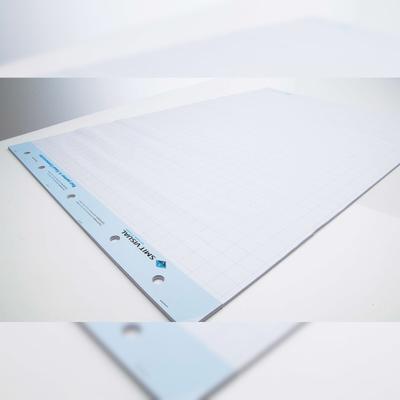 PROREGAL Doppelseitiges Flipchartpapier | HxB 100x65cm | 70 gr/m2 | 1x blanko & 1x karierte Seite | Weiß