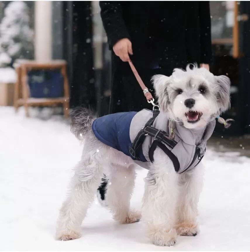 INF Warme Hunde Fleeceweste mit Reflektierendem Design - Winterbekleidung für Kleine Hunde L