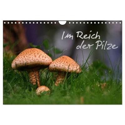 Im Reich der Pilze (Wandkalender 2027 DIN A4 quer), CALVENDO Monatskalender