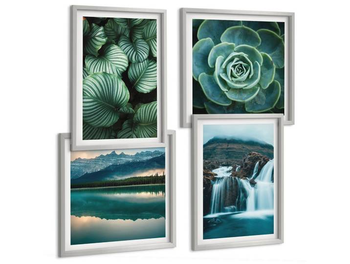 BILDER SET 4er Set - 50x50 cm & 40x60 cm Silberner Rahmen - Nahaufnahmen von Blättern sukkulenter Pflanzen