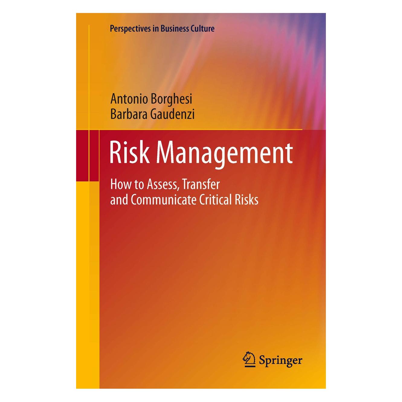 Springer Risk Management (9788847025301)