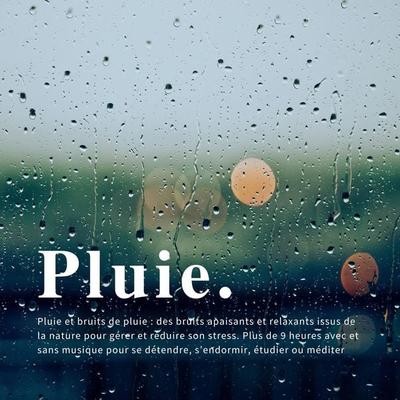 Pluie et bruits de pluie: des bruits apaisants et relaxants issus de la nature pour gérer et réduire son stress - Institut de la relaxation, Audio,