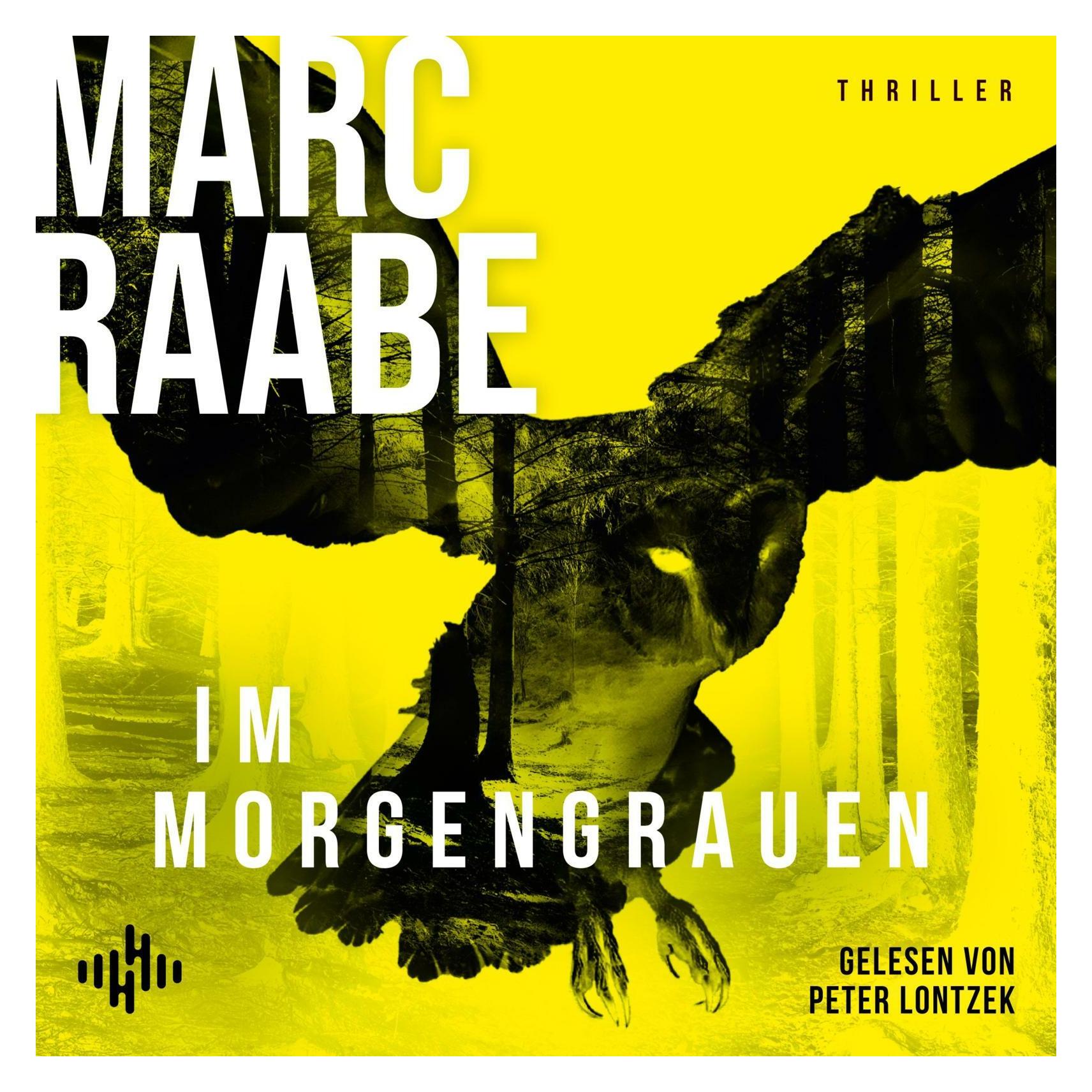 Hörbuch Hamburg Im Morgengrauen (Art Mayer-Serie 4) (Marc Raabe, Deutsch) (67907429)