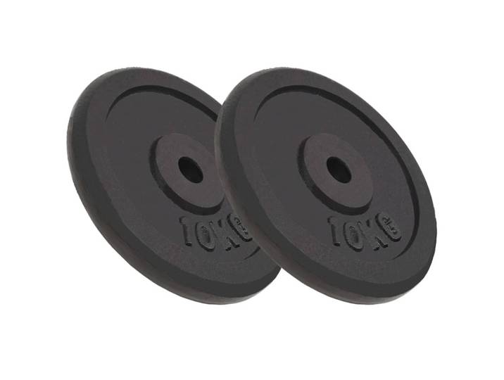 vidaXL Hantelscheiben 2 Stk. 2x10 kg Gusseisen