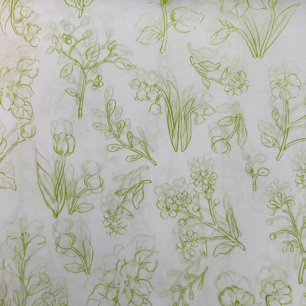 INF 50 Blatt 50x70cm Grünes Botanisches Linien-Blumen Seidenpapier für Geschenkverpackung & Basteln