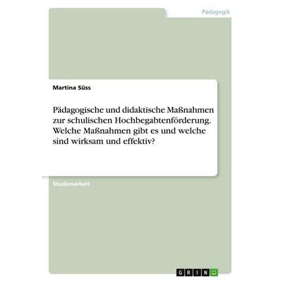 Pädagogische und didaktische Maßnahmen zur schulischen Hochbegabtenförderung. Welche Maßnahmen gibt es und welche sind wirksam und effektiv?,