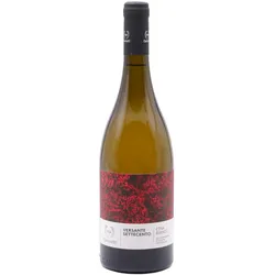 Canicatti Versante Settecento Etna Bianco DOC 2021