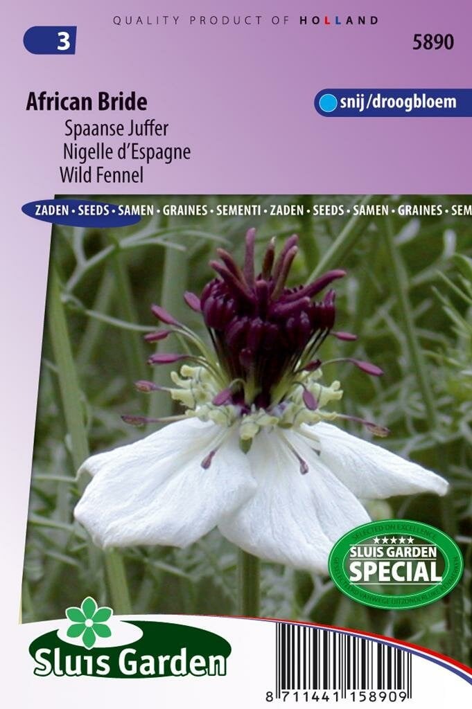 Sluis Garden African Bride Juffertje in 't groen Nigella Paillosa zaad