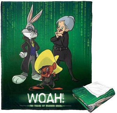 DC Comics Warner Brothers WB100 Silk Touch Throw Blanket