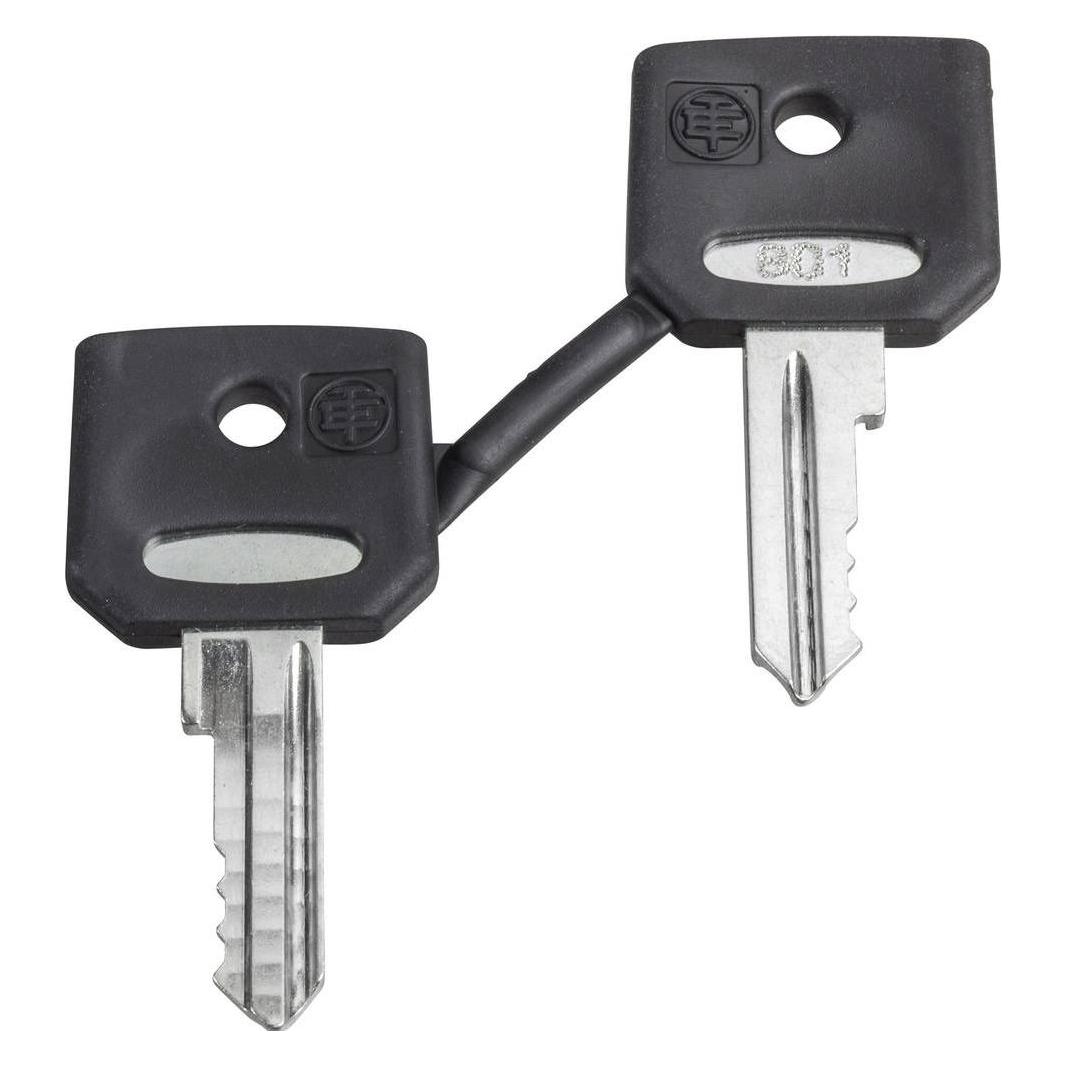 APC GmbH Ersatzschlüssel f. Schlüsselschalter ZBD8D1 ( (ZBD8D1)