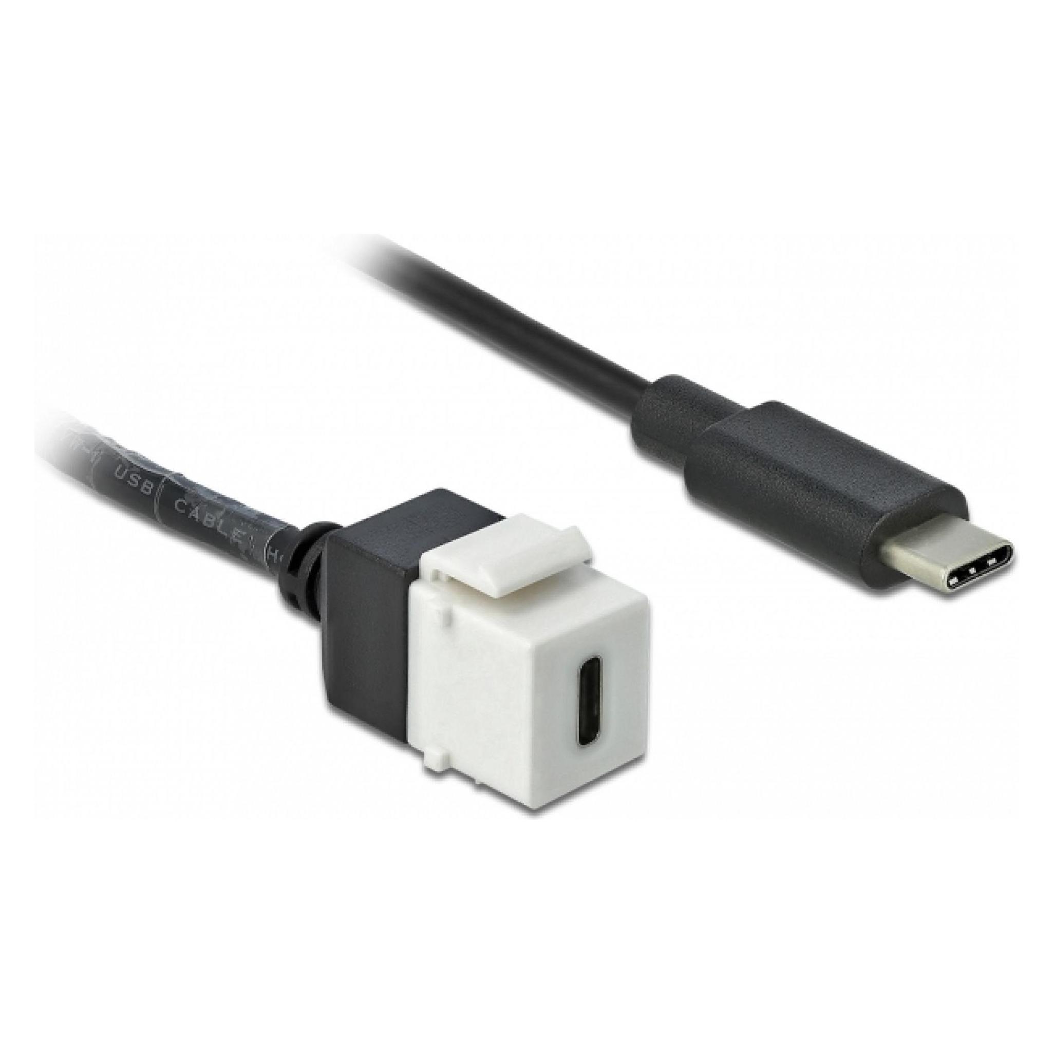 Delock Keystone module (0.25 m, USB 3.2 Gen 1) (86399)
