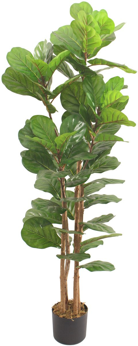 Homebound by Ky Kunstplant Fiddle Ficus Lyrata 180 cm Groen
