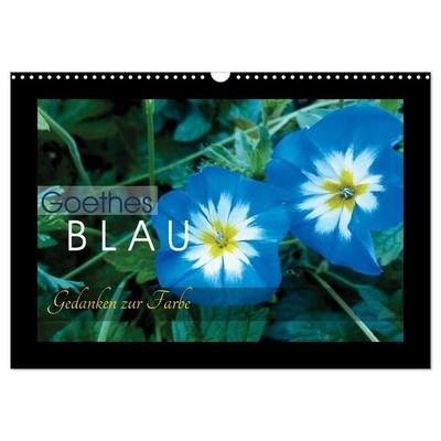 Goethes Blau. Gedanken zur Farbe (Wandkalender 2027 DIN A3 quer), CALVENDO Monatskalender