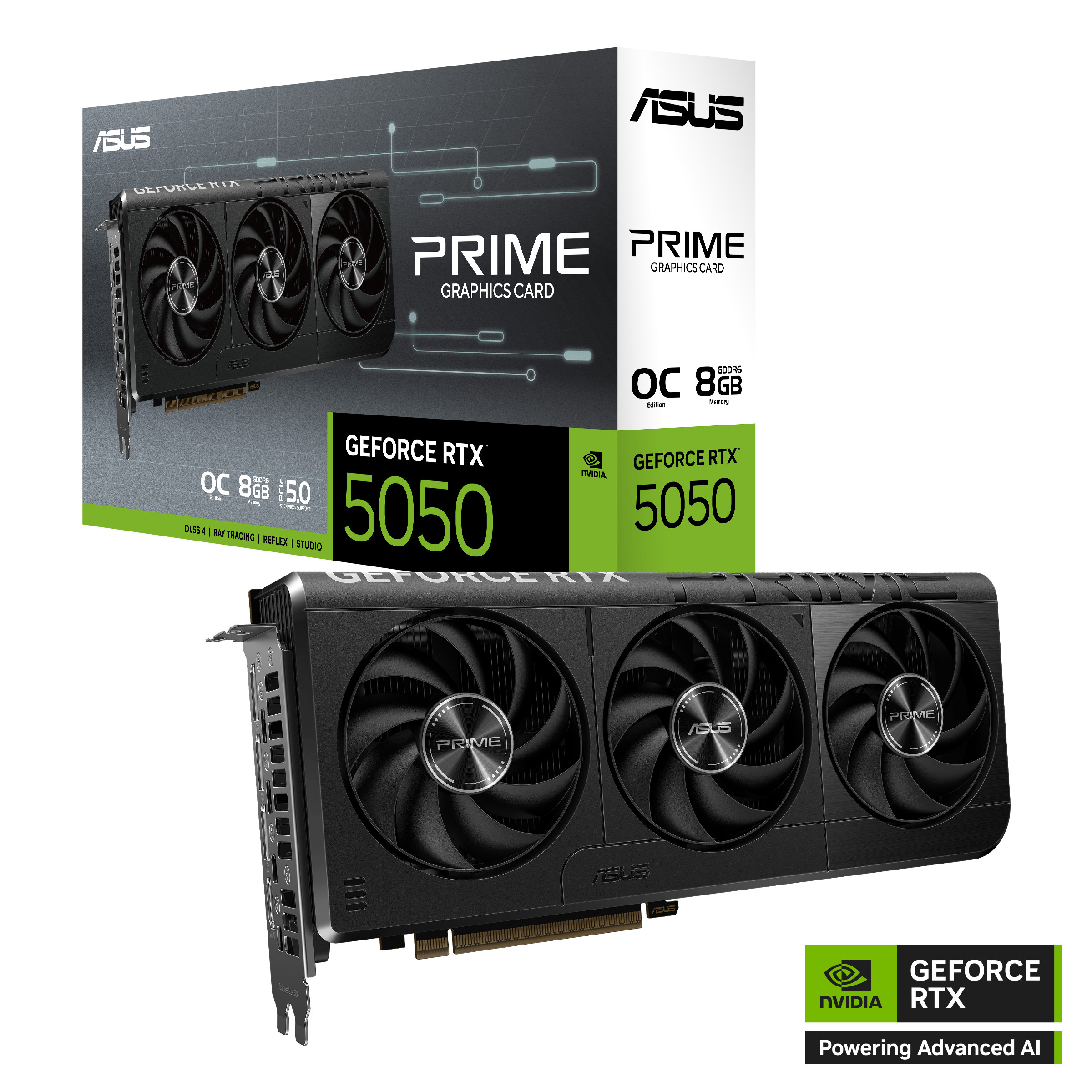ASUS PRIME GeForce RTX 5050 OC PRIME-RTX5050-O8G Grafikkarte 8GB GDDR6, 1xHDMI, 3xDP