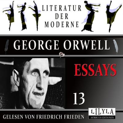 Essays 13 - George Orwell, Audio, 9783988526151