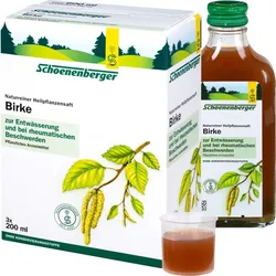 Birke Schoenenberger Heilpflanzensäfte 600 ML
