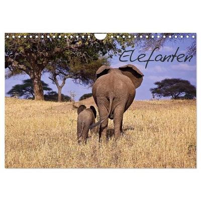 Elefanten (Wandkalender 2027 DIN A4 quer), CALVENDO Monatskalender