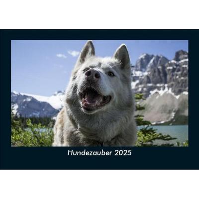 Hundezauber 2025 Fotokalender DIN A5