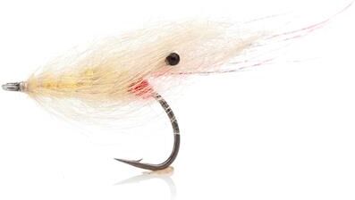 Unique Flies Aura Rejen Tan