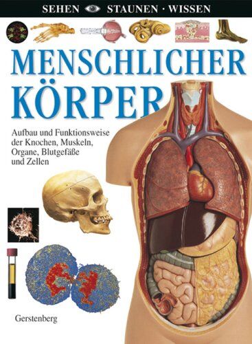 Steve Parker - Menschlicher Körper: Aufbau und Funktionsweise der Knochen, Muskeln, Organe, Blutgefäße und Zellen - Preis vom 09.10.2026 07:28:09 h