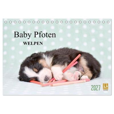 Baby Pfoten (Tischkalender 2027 DIN A5 quer), CALVENDO Monatskalender
