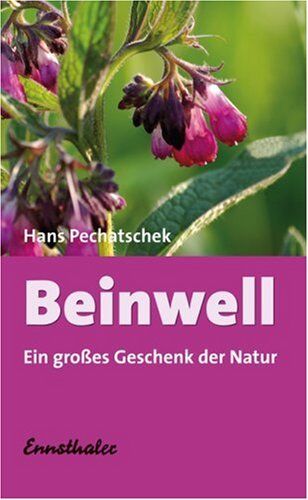 Hans Pechatschek - Beinwell: Das große Geschenk der Natur. Eine hervorragende Heilpflanze - Preis vom 30.09.2026 09:01:18 h