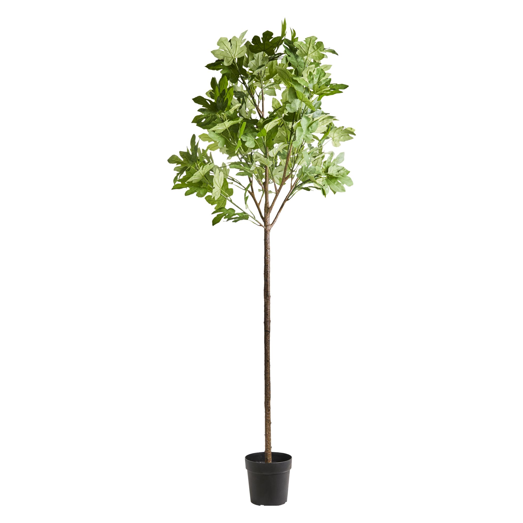House Doctor Artificial plant, HDFig, Green (230 cm) (70612035)