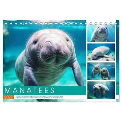 Manatees. Faszinierende Rundschwanzseekühe (Tischkalender 2027 DIN A5 quer), CALVENDO Monatskalender