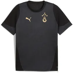 PUMA Galatasaray Istanbul Trainingsshirt 2025/26 Herren 10 - PUMA black XL