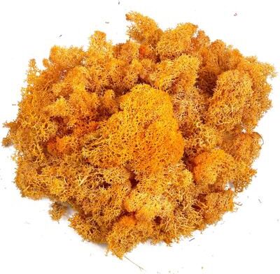 Inspire Select Artificial Reindeer Moss Decor Faux Green Moss For Crafts, Potted Plants & Wall Art orange 1.1 Oz
