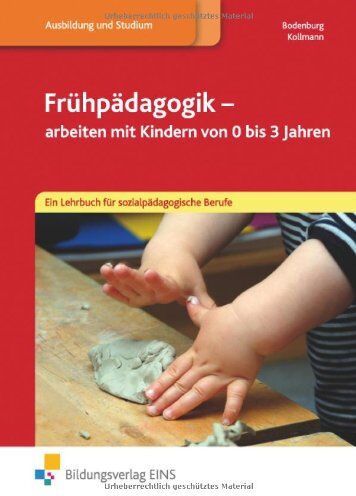 Irmgard Kollmann - Frühpädagogik - arbeiten mit Kindern von 0-3 Jahren. Ein Lehrbuch für sozialpädagogische Berufe: Ein Lehrbuch für sozialpädagogische Berufe Lehr-/Fachbuch - Preis vom 30.09.2026 09:01:18 h