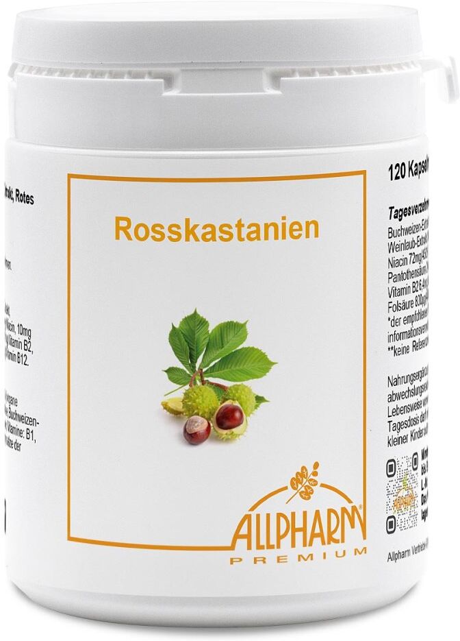 Rosskastanien Kapseln