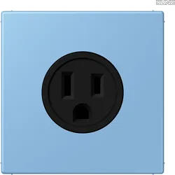 Jung LC521-15256 Steckdose US-Norm NEMA LC4320N