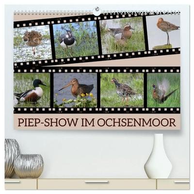 PIEP-SHOW im Ochsenmoor (hochwertiger Premium Wandkalender 2027 DIN A2 quer), Kunstdruck in Hochglanz