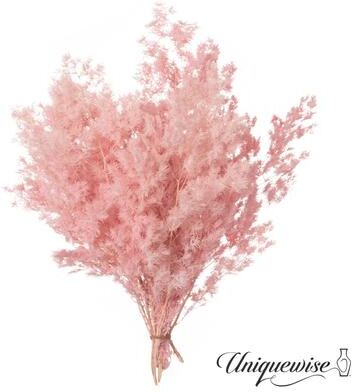 Uniquewise Preserved Real Floral Stems Chic Vase Fillers & Accents for Bouquets Centerpieces & Ornamental Displays