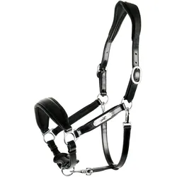 Lederhalfter SP Fremont Pro