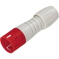 binder 99 9205 450 03 Subminiatur-Rundsteckverbinder Stecker, gerade Gesamtpolzahl: 3 1 St.