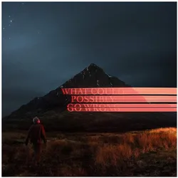 Sony Music, Schallplatten, What Could Possibly Go Wrong (Gate) (Ofgv) (Post) (Dominic Fike)